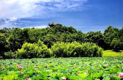 广东2023年汽修学校热门专业与连锁店发展机遇